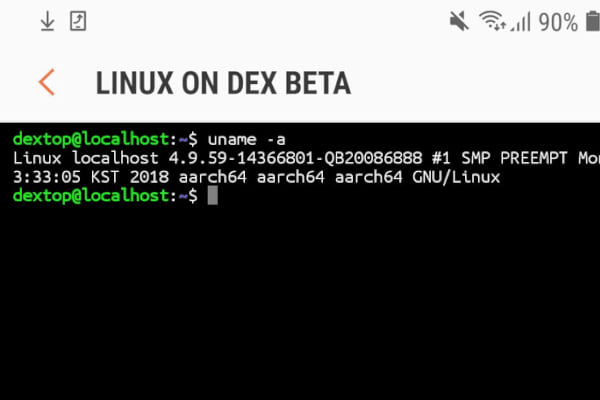 Linux on DeX running in terminal mode on the phone.