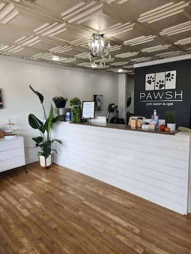 Pawsh Pet Salon & Spa in Elizabethtown
