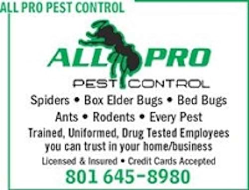 All PRO Pest Control in Layton