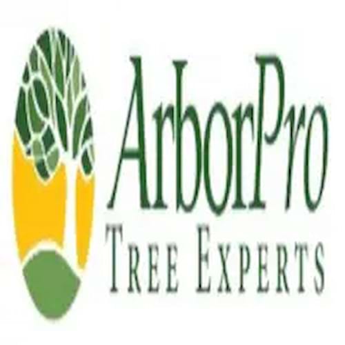 ArborPro Tree Experts in Lake Oswego