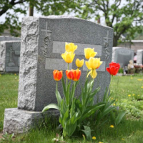 Peck Funeral Homes in Braintree