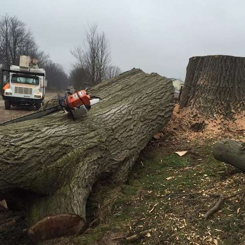 Edwards Tree and Land Clearing Services Inc in Metamora