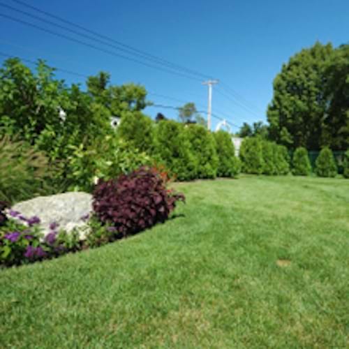 Complete Yard Service in Florence