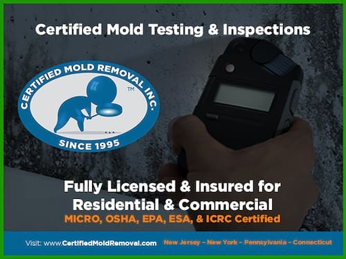 Certified Mold Removal Inc. in Freehold