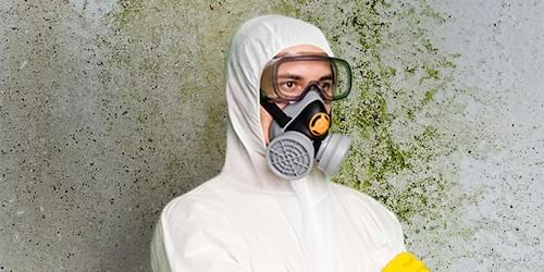 Certified Mold Removal Inc. in Freehold