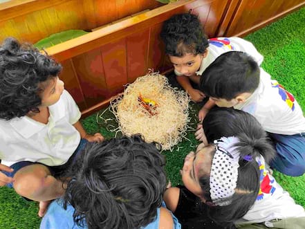 Parent Toddler Program