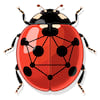 Ladybug Logo