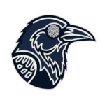 Huginn Net Logo