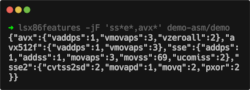 Output of `lsx86features -jF 'ss*e*,avx*' demo-asm/demo`