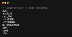 Output of `lsx86features -l demo-asm/demo`