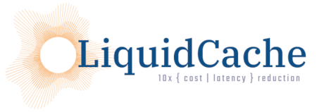 liquid_cache_logo