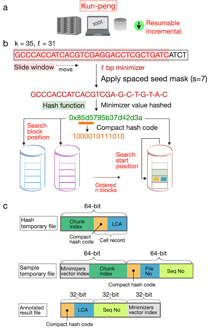 Workflow of Kun-peng