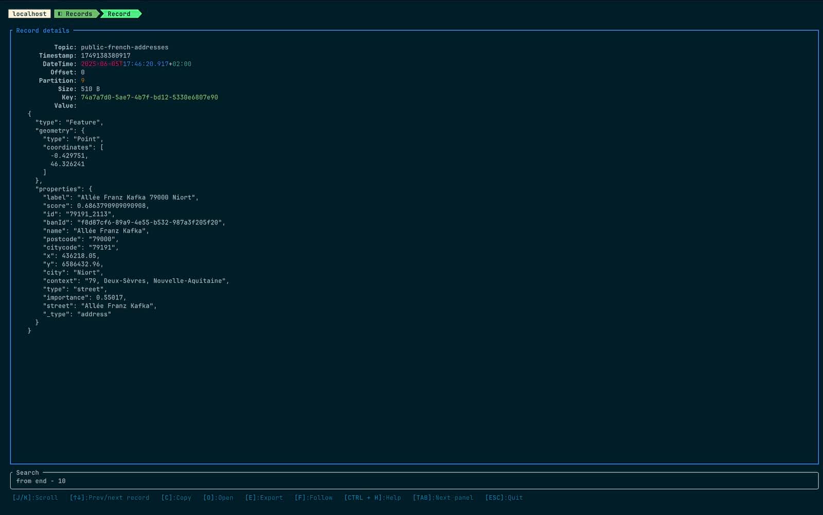 View of a selected kafka records