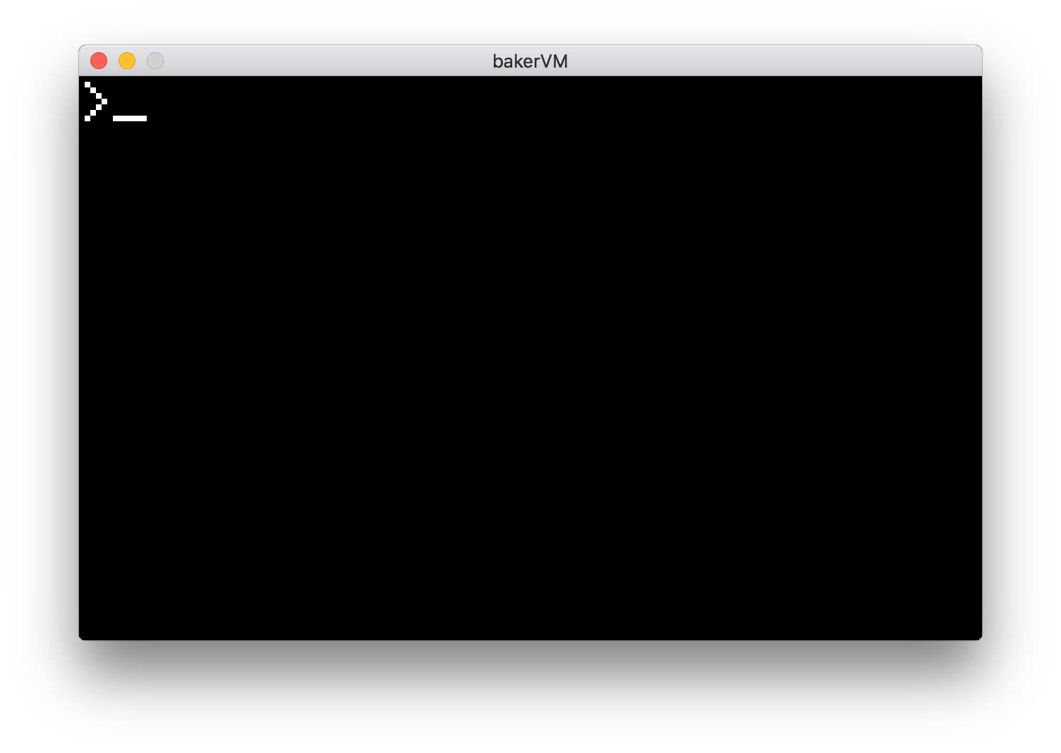A screenshot of the bakerVM