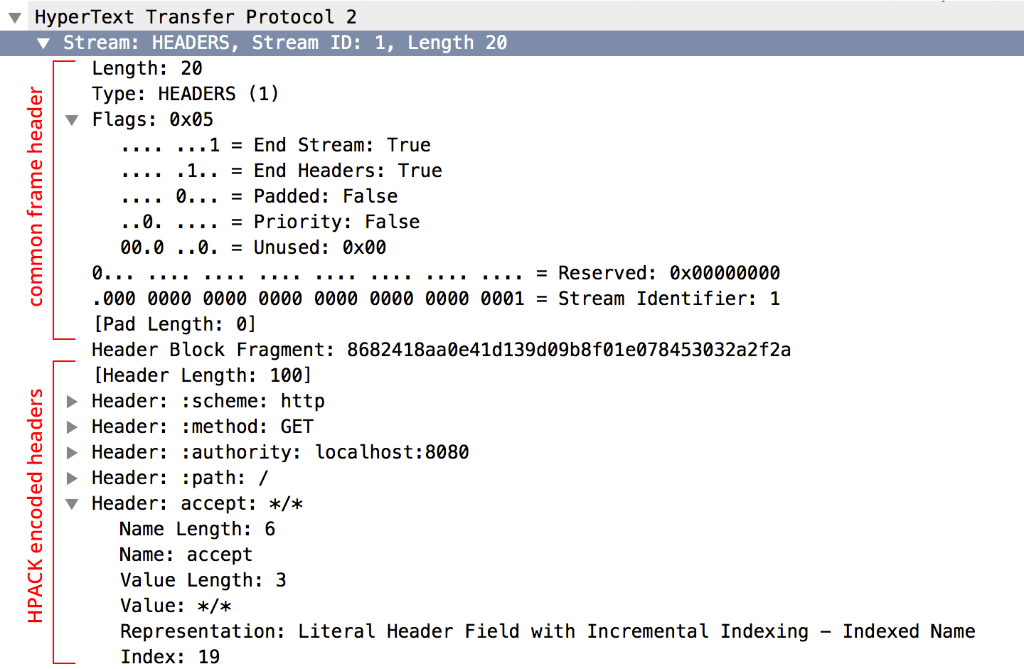 Wireshark HTTP/2 1