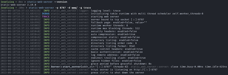 static-web-server running