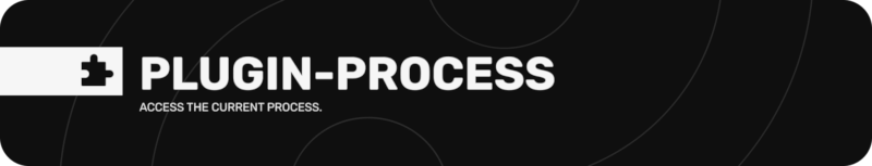 plugin-process