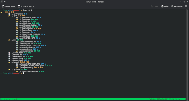 lsxd without -d option