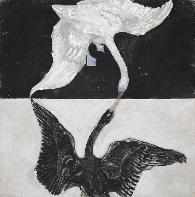 dithor version of the swan in low res