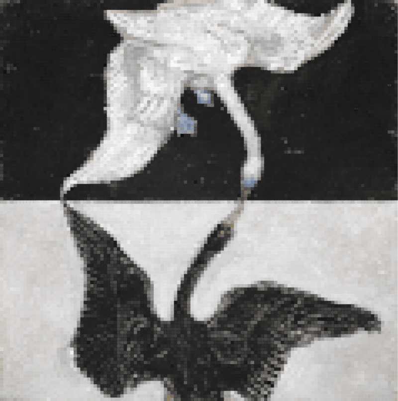 dithor version of the swan in low res