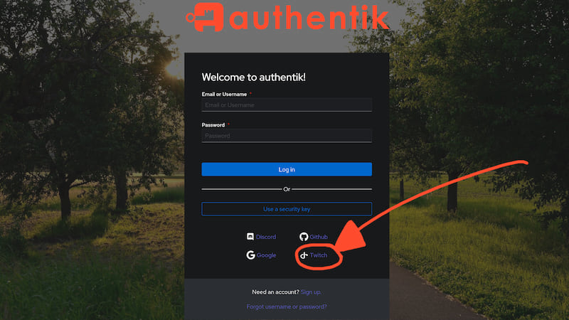 Authentik Single Sign On page