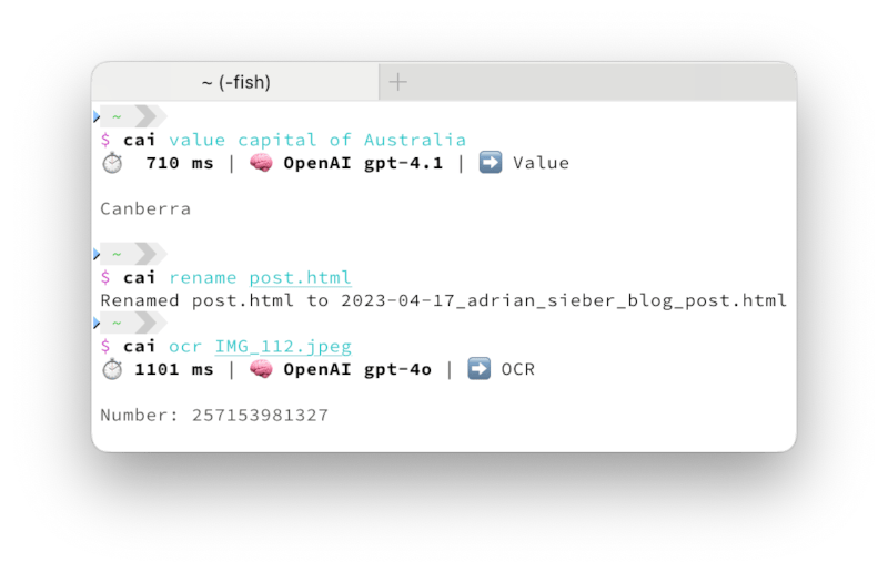 Demo usage of cai in a terminal