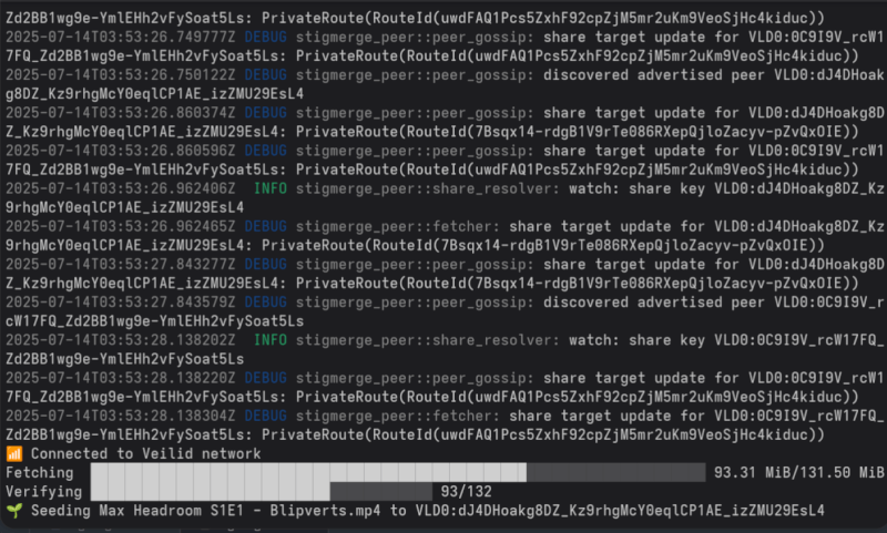stigmerge fetch command output, displaying a partial download in progress