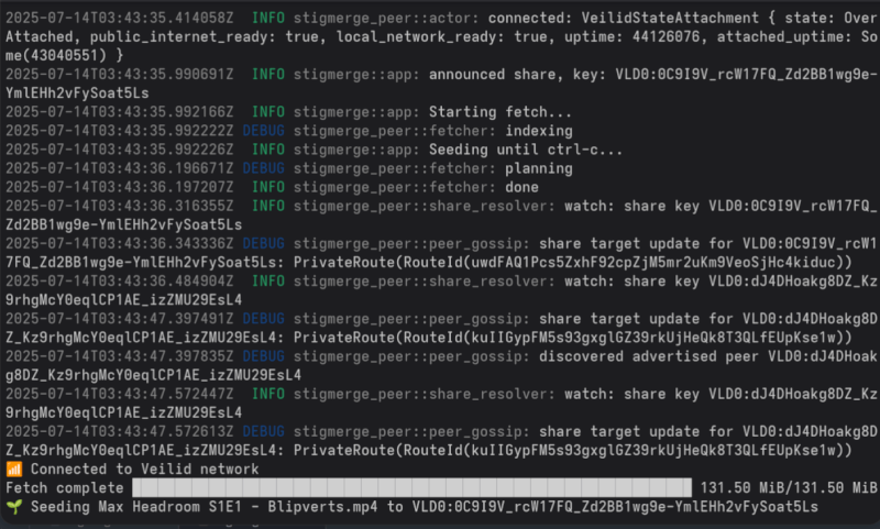 stigmerge seed command output, displaying the DHT key VLD0:0C9I9V_rcW17FQ_Zd2BB1wg9e-YmlEHh2vFySoat5Ls