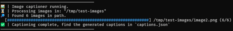 screenshot of bedrust running the captioner