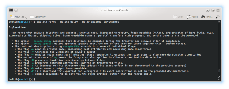 shell-ai explain -- rsync --delete-delay --delay-updates -avyyHXShPs