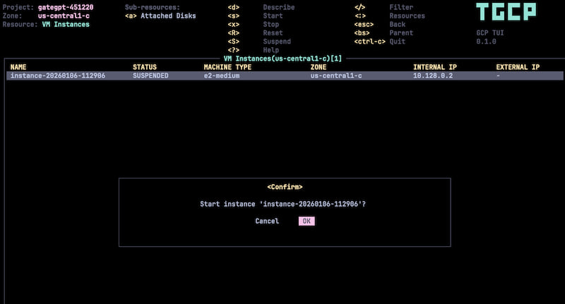 Compute Instances View
