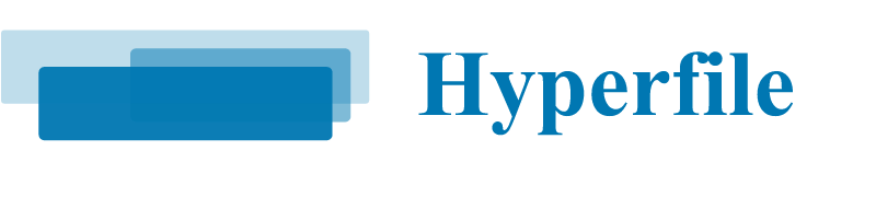 Hyperfile - Random Read Write Object Format
