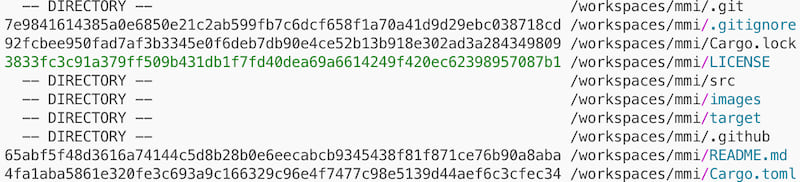 Match Meta Inforamtion (MMI) Output