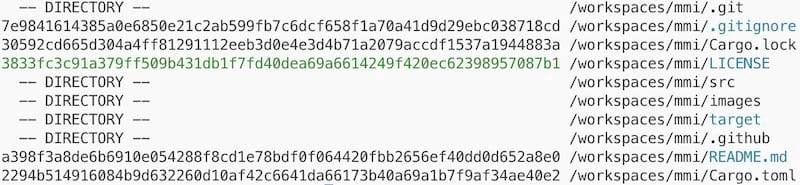 Match Meta Inforamtion (MMI) Output