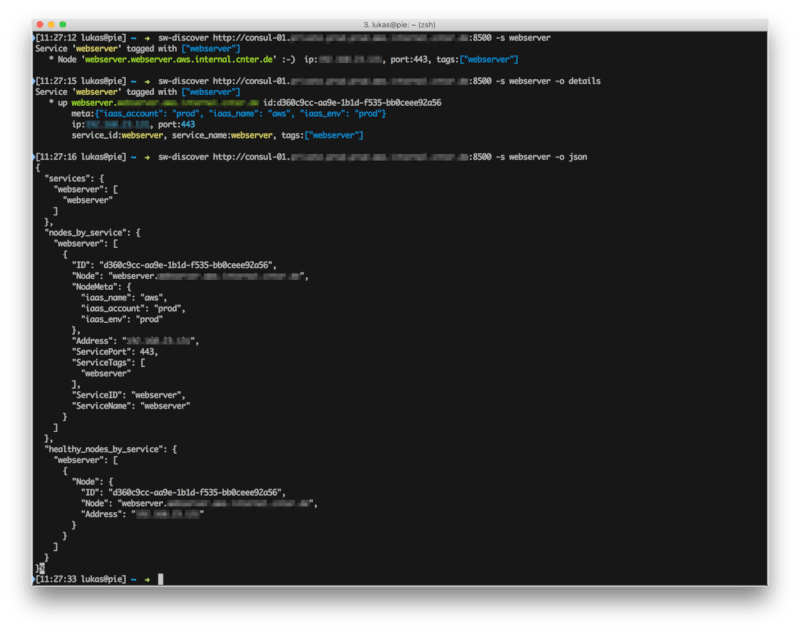 sw-discover filtering for service name, showing detailed as well as JSON output