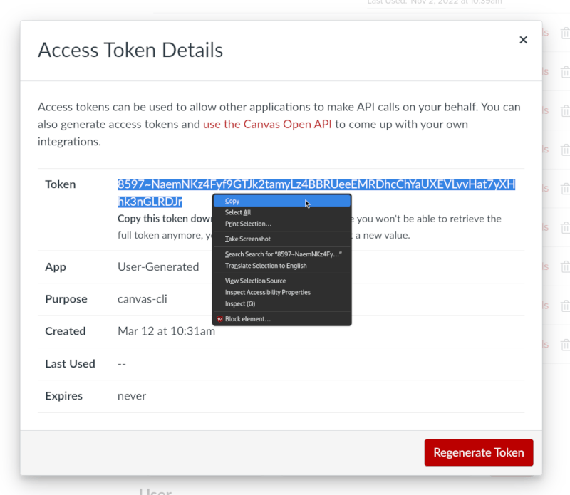 Access Token Details dialog with