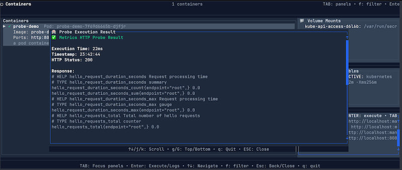 NaviPod inspecting health probes and metrics endpoints