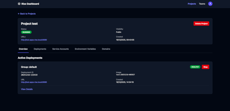 Rise Web Dashboard Screenshot