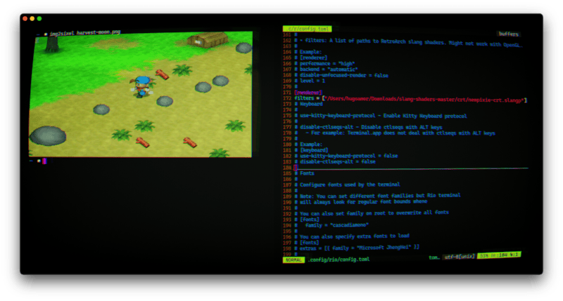 Demo Rio 0.2.0 on MacOS