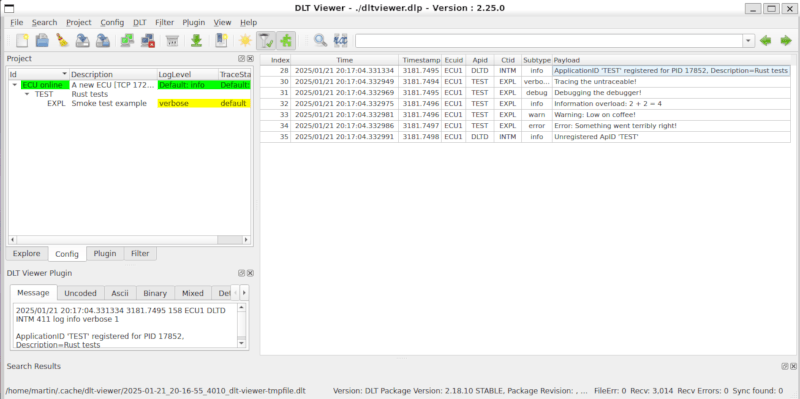 Example logs in DLT viewer