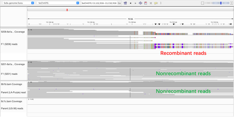 recombinant-read
