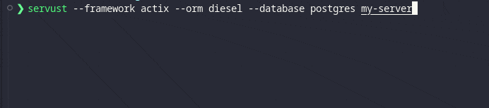 CLI Run
