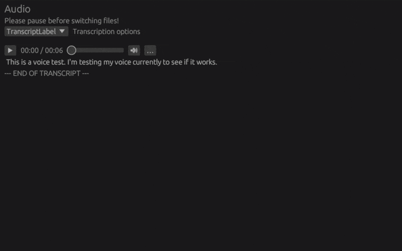 transcript_demo