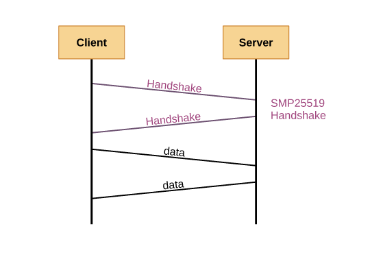 SMP25519 Flow Chart