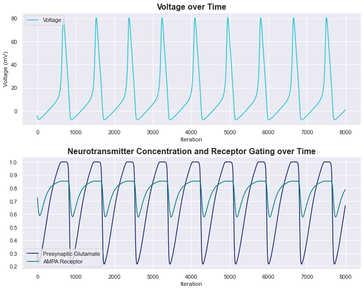 Hodgkin Huxley model voltage and neurotransmitter over time