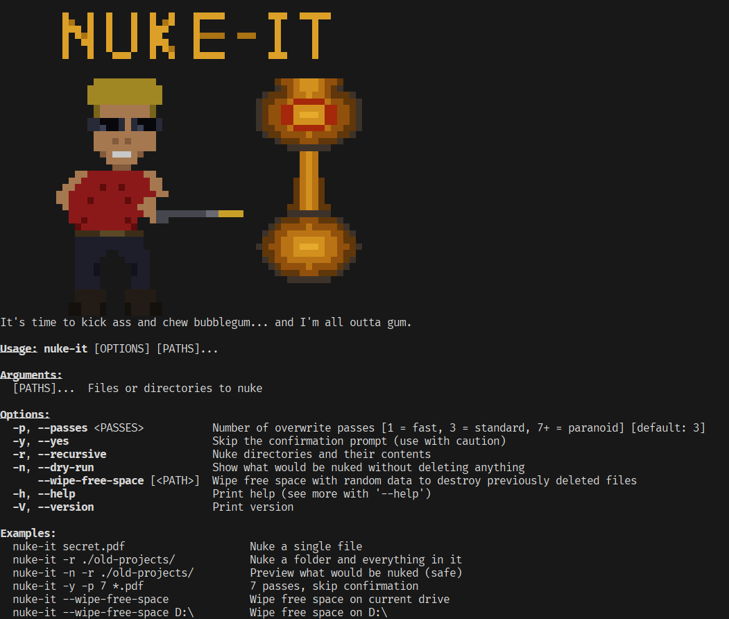 NUKE-IT — command-line utility in Rust // Lib.rs