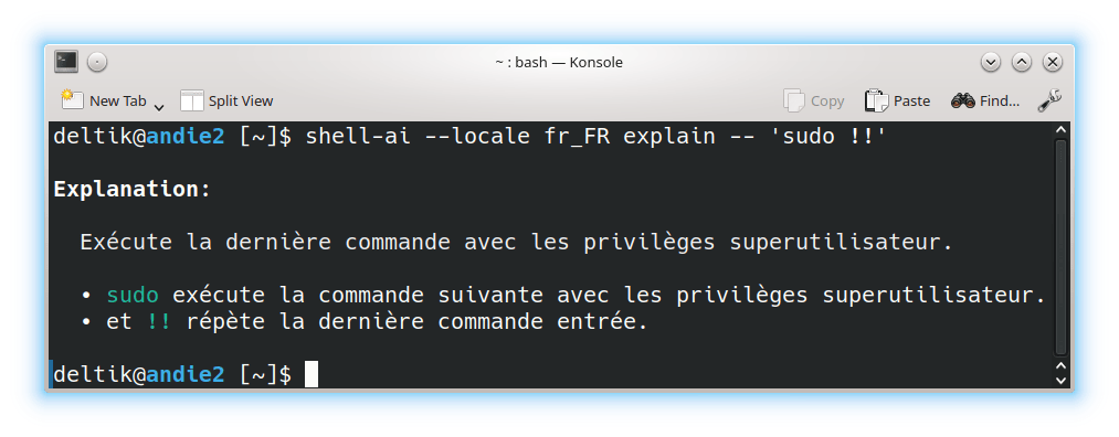 shell-ai --locale fr_FR explain -- 'sudo !!'