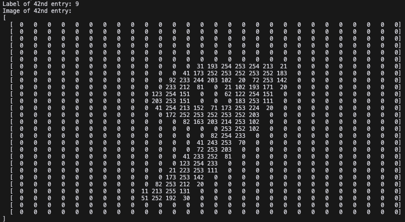 MNIST - 42