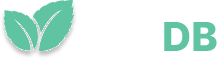mintDB Logo
