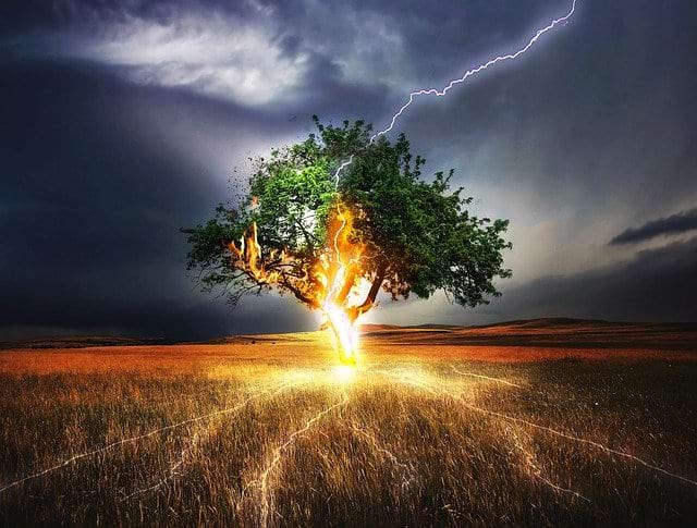 Tree being struck by lightning (royalty-free stock photo from pixabay)